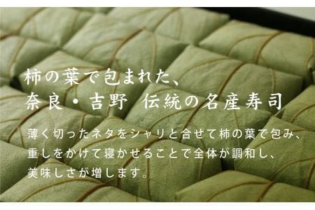 特製柿の葉寿司「吉野傳」さけ