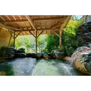 奥吉野・湯盛温泉　ホテル杉の湯　　　　　温泉入浴回数券(11枚)【1201504】