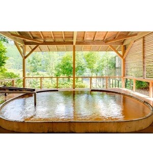 奥吉野・湯盛温泉　ホテル杉の湯　　　　　温泉入浴回数券(11枚)【1201504】