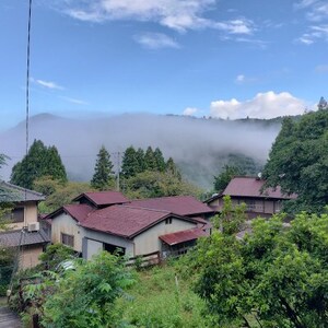 川上村特産品詰め合わせセット【1476016】