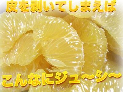 【訳あり】 和歌山産 八朔 5kg 【ご自宅用・サイズ不揃い・キズ等あり】