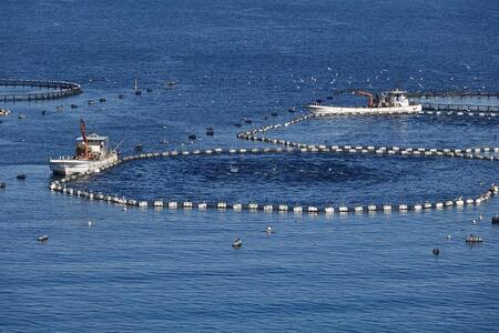 和食やTakasui 本まぐろ角煮