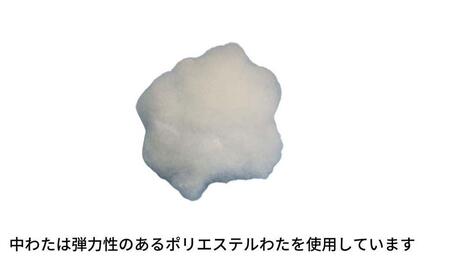 《アウトラスト 枕 カバー2枚付 43x63cm チェック ピンク》OLMマドラスPK