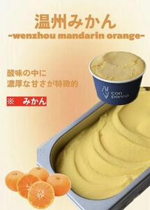 濃厚ジェラート詰め合わせセット【8個入り】