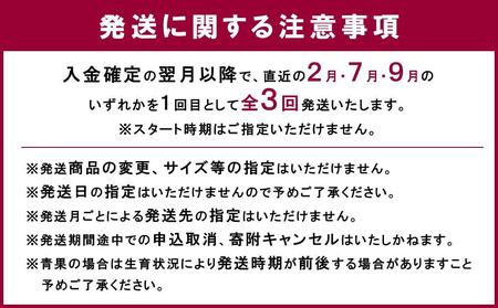 【全3回】和歌山厳選フルーツ定期便( いちご 桃 シャインマスカット )【MG16】