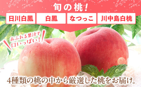 桃 極上秀品 約2kg 6～8個入［先行予約］［2026年6月下旬頃から順次発送］こだわり農家厳選［KG2］