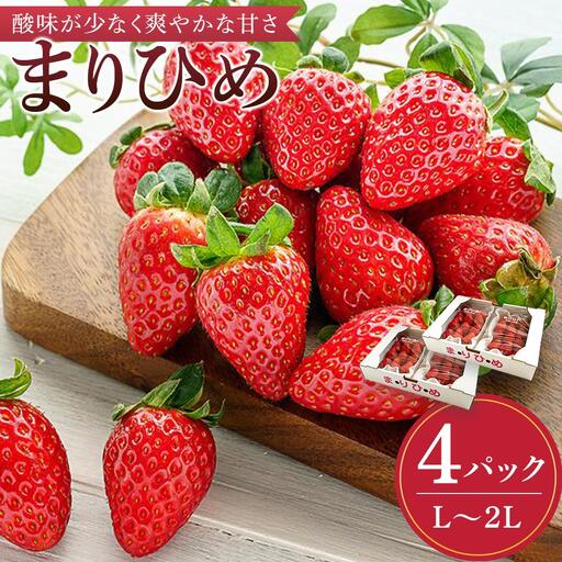 まりひめイチゴ L～２L 12粒～15粒×4パック［2026年1月中旬から発送］［先行販売］［KG8］