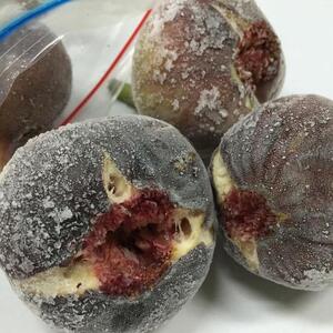 和歌山産 冷凍 いちじく 1.5kg(500g ×3袋)