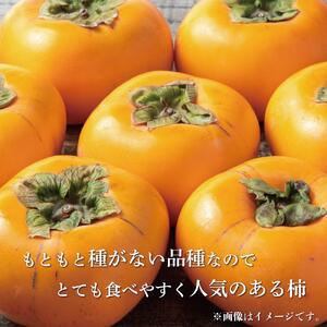 【2024年発送】種なし柿 3kg以上【和歌山グルメ市場】【JG1】