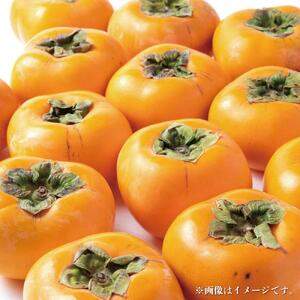 【2024年発送】種なし柿 3kg以上【和歌山グルメ市場】【JG1】