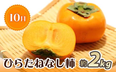 紀州和歌山産 旬にお届け！3種のフルーツセット（不知火・桃・ひらたね）【UT58】