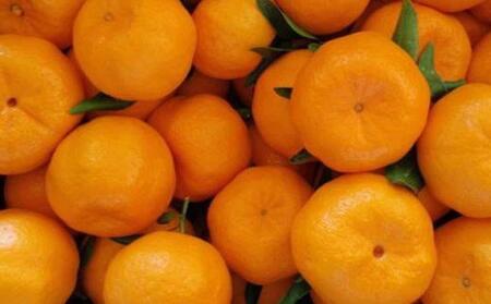 和歌山産ポンカン約5kg（サイズ混合・秀優品）★2026年2月初旬頃より順次出荷［TM136］