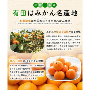 ［先行予約］ご家庭用 完熟 有田みかん 10kg［2026年12月発送予定］訳あり 農家直送［MS6-2］