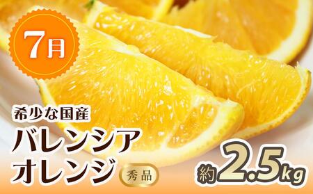 【1・4・7月 全3回】紀州和歌山産旬のフルーツセット（みかん・なつみ・バレンシア）【UT82】