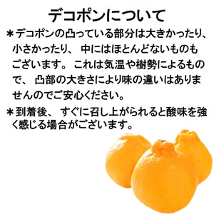 【秀品】和歌山有田のデコポン約5kg 2027年1月以降順次発送