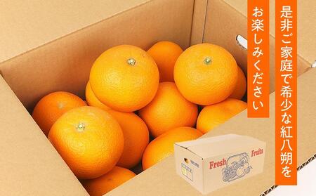 先行予約！希少な紅はっさく 12～18個入り（L～2Lサイズ）［2026年1月中旬頃から発送］［KG9］