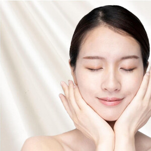 【 アイボリー 】 【2枚組】プレミアムシルク100%リバーシブル枕パッド 【43×63cm】（ S-4363RMP-IV2P）