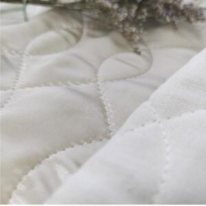 【 アイボリー 】 【2枚組】プレミアムシルク100%リバーシブル枕パッド 【43×63cm】（ S-4363RMP-IV2P）