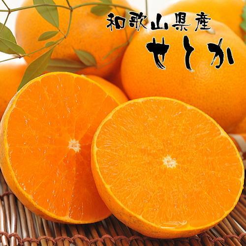 和歌山有田の濃厚せとか（ご家庭用） 約4～5kg ［先行予約］ | くだもの フルーツ 果実 果物 有田 みかん 和歌山　［MS81］