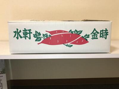和歌山県産 水軒金時 さつまいも Mサイズ 約 5kg 2026年 発送 先行予約
