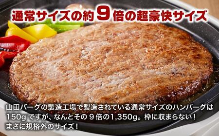 山田バーグ 1350g