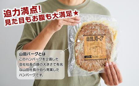 山田バーグ ハーフサイズ 650g×2個