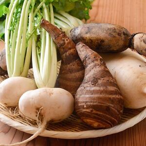 【浪速割烹 昇】《カウンター貸切》和歌山市食材をふんだんに使用したおまかせ特別コース《6名様分》（ぐるなびセレクション）