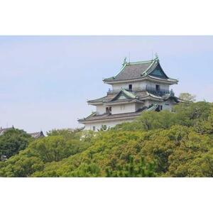 【和歌山市】JTBふるさと旅行券（90,000円分）有効期間5年 | 予約 宿泊 観光 体験 温泉 ホテル 旅館 チケット 子供 子連れ カップル 家族 店頭 電話 和歌山