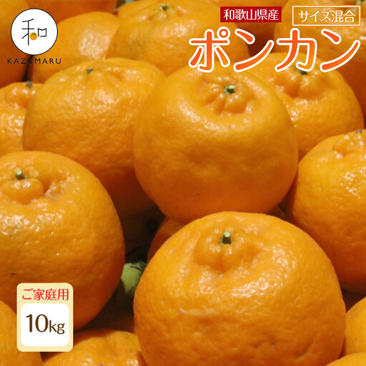 家庭用 森本農園の手選別 ポンカン 10kg 和歌山県産 サイズ混合 ［北海道・沖縄・離島配送不可］［RN33］［2026年1月上旬から順次発送］★