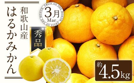 定期便全3回 【2月・3月・4月発送】 和歌山の春の柑橘 (ポンカン・はるか・ブラッドオレンジ)秀品【TM173】