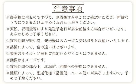 定期便全3回 【7月・8月・9月発送】 和歌山のフルーツをお届け(桃・たねなしピオーネ・シャインマスカット)【TM180】
