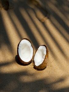 ［無添加、卵・乳不使用］猿島緑茶ココナッツジェラート8個セット