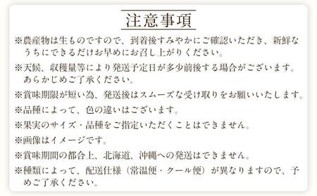 定期便全3回 【2月・3月・4月発送】 和歌山の春のフルーツ (ポンカン・清見オレンジ・まりひめ)【TM174】