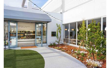 ホシフルーツ 果実のしっとりパウンドケーキ 9個