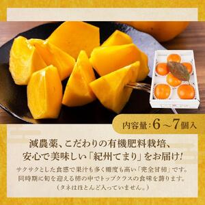 紀州てまり（和歌山県ブランド柿）6～7個入 こだわり農家厳選 先行予約 ［KG27］