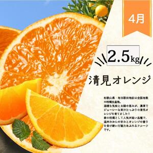 【定期便・指定月（1・2・3・4月）全4回】紀州和歌山産 旬の柑橘 セット (みかん・不知火・せとか・清見) ［UT137w］