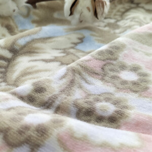 椿オイル加工 ふんわり綿毛布 シングルサイズ 約140×200cm ピンク CNM-300-PI