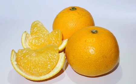 ［手選果 訳あり］和歌山 由良町産 八朔 約10kg サイズ混合 ご家庭用 ［TM205］