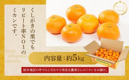 ［先行予約］［2026年11月初旬から11月末頃順次発送］ 和歌山県産温州みかん 約5kg（40個～60個）秀品 こだわり農家厳選！［KG31］