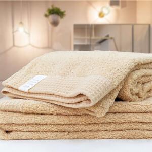 【バスタオル2枚組】思わずふれたくなる バスタオル 60×120cm ふれるB2-AP