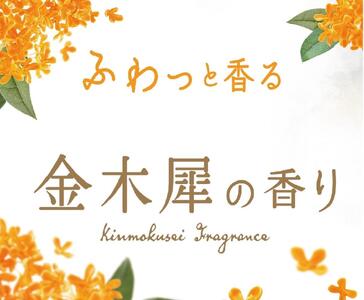 HERSバスラボ ボトル 金木犀の香り 540g×5本セット(135回分)