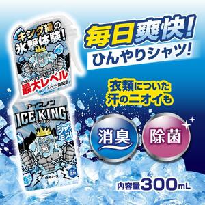 アイスノン シャツミスト ICE KING ミントの香り 本体詰替えセット