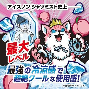 アイスノン シャツミスト ICE KING ピーチの香り 本体詰替えセット