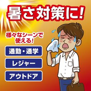 アイスノン シャツミスト ミントの香り 本体詰替えセット