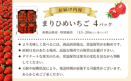 先行予約 まりひめいちご 15～20粒入×4パック 食べやすいひと口サイズ こだわり 農家厳選 ［KG32］