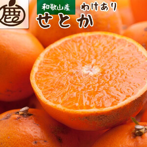 家庭用 せとか10kg+250g（傷み補償分）［柑橘・春みかんの王様］［わけあり・訳あり］［光センサー選果・食べ頃出荷］［IKE256］ 7,020円