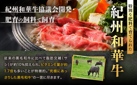 ［A4・A5］熟成紀州和華牛 切り落とし 1kg（200g×5P）