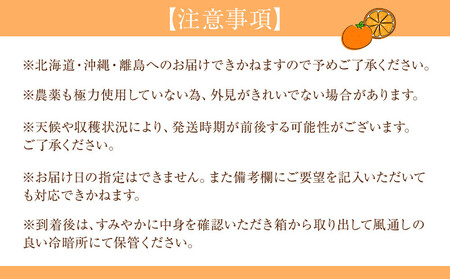 贈答用 森本農園の手選別 八朔 約2kg 和歌山県産 サイズ混合 ［北海道・沖縄・離島配送不可］［2026年1月中旬から発送予定］［RN122］★
