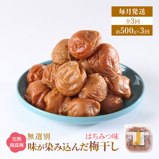無選別 和歌山の完熟南高梅 味が染み込んだ梅干し はちみつ味 500g 塩分10％ [定期便 毎月発送・全3回]