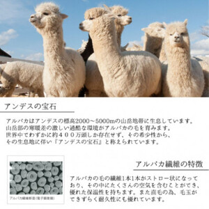 アルパカ毛布 シングルサイズ 140×200cm アイボリー